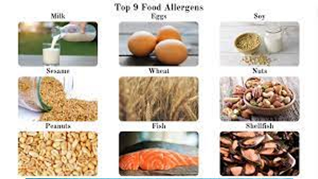 AllergiesFood