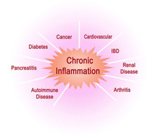 Adrenal Fatigue