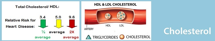 Cholesterol