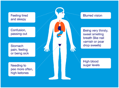 Adrenal Fatigue