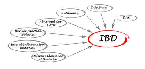 Adrenal Fatigue