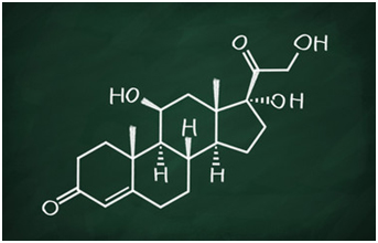 Adrenal Fatigue