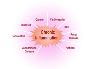 Adrenal Fatigue