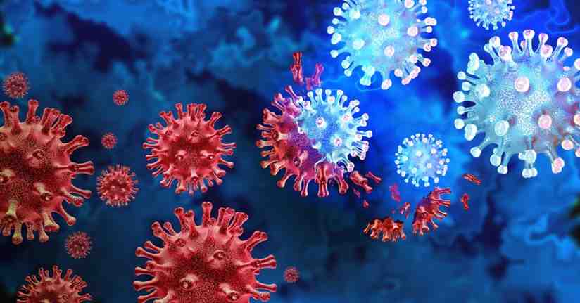 Autoimmune Diseases Banner