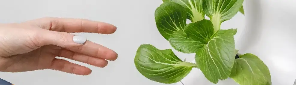 Inflammation – Fastest Ways to Reduce It Naturally with Integrative Solutions