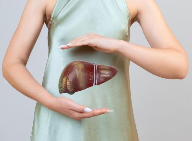 Liver-Estrogen-Detox-Support