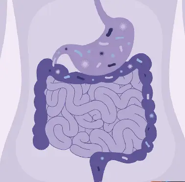 Root Causes: Why Is Your Immune System Imbalanced?