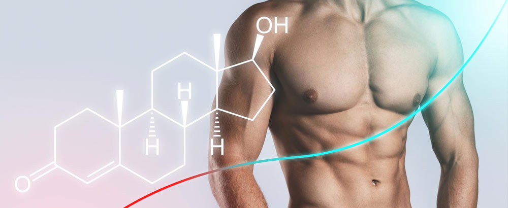 Testosterone