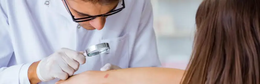 What causes Lyme disease?