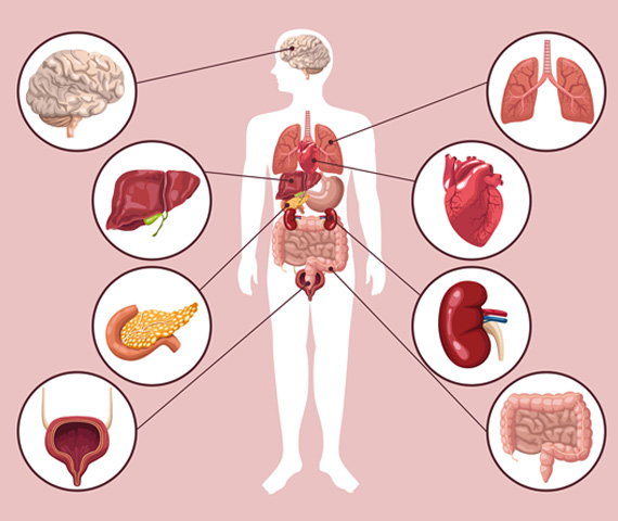 Comprehensive hormone laboratory panel at Patients Medical NYC